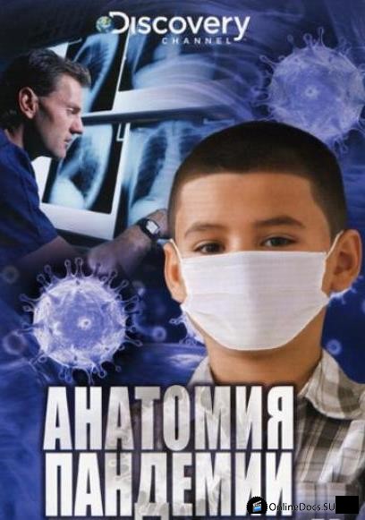 Постер Анатомия пандемии 